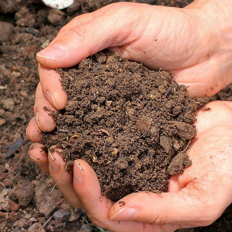 How The New Organics Recycling Law Affects Alameda SB 1383
