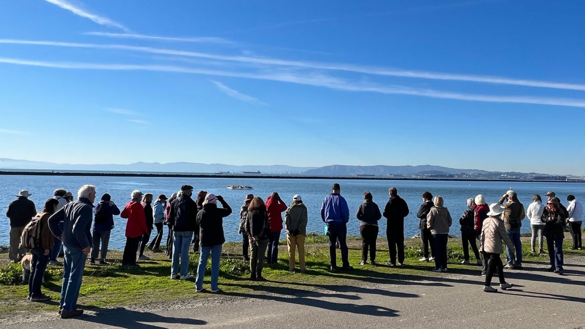 Alameda Post - Saturday Stroll views harbor seals Dec. 11, 2021
