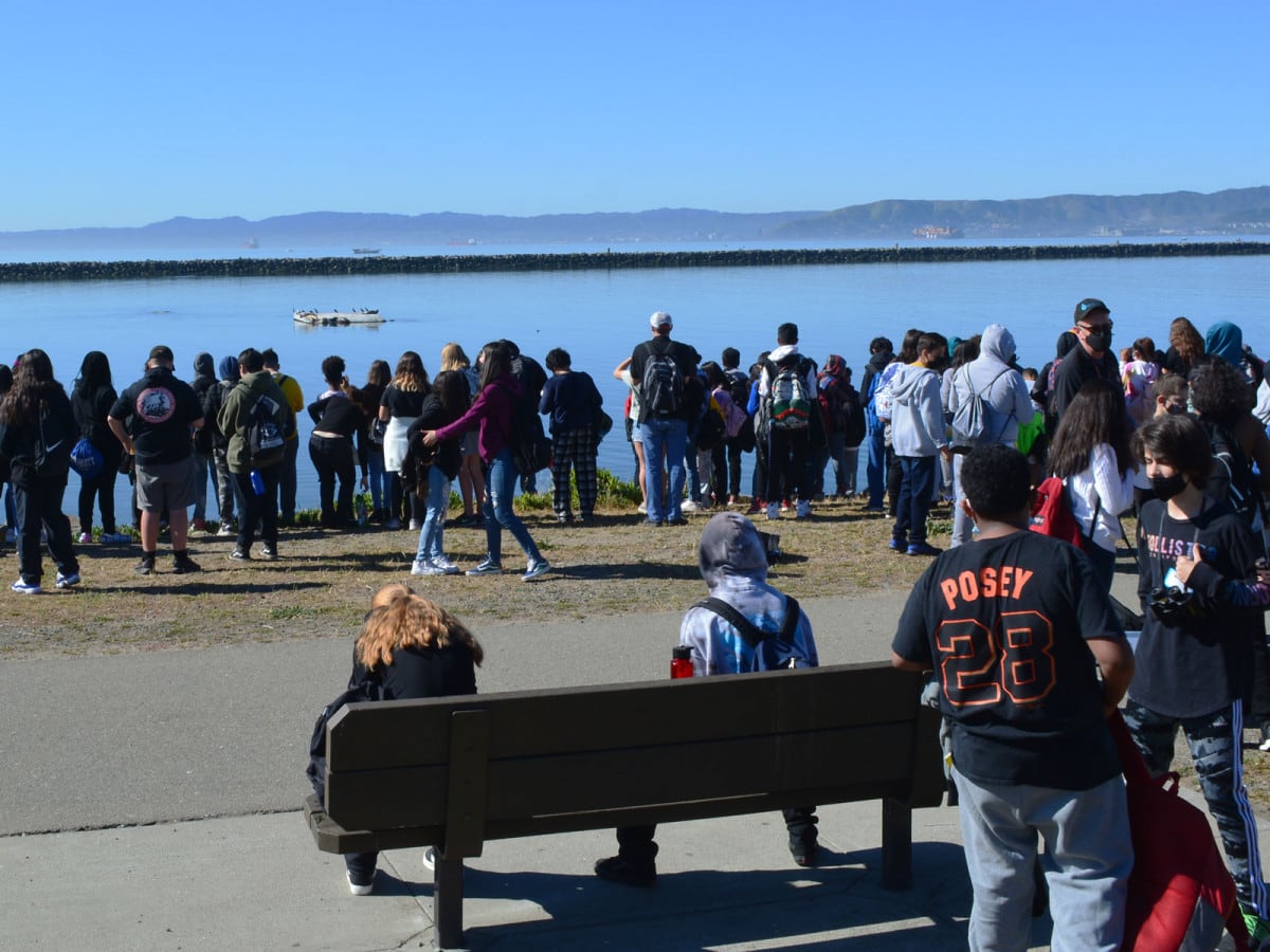 Alameda Post - middle school students observing Alameda Point harbor seals