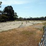 Alameda Post - Bottle Parcel for Dignity Village