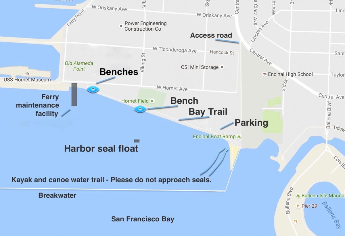 Alameda Post - Harbor Seal map
