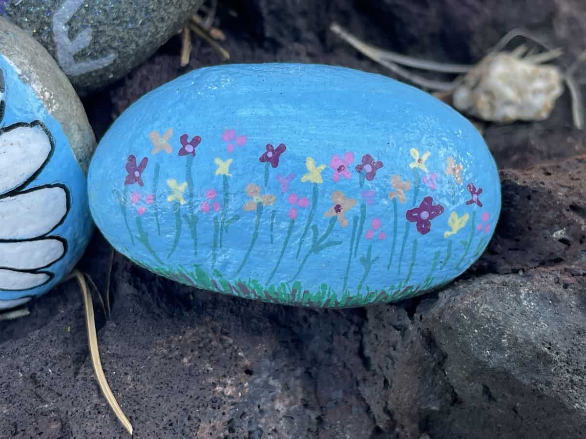 Alameda Post - Bear's-Eye View June 5, 2022 – blue painted rock