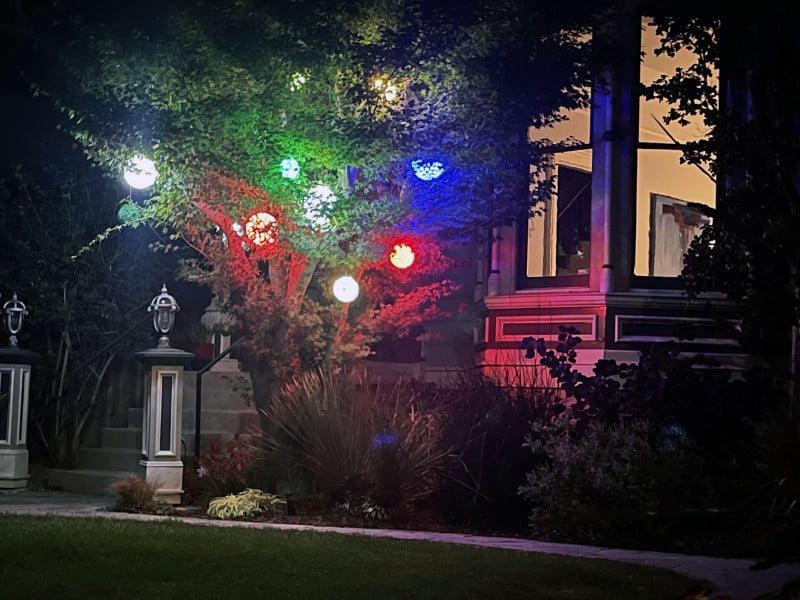 Alameda Post - Bear's-Eye View July 25, 2022 – Christmas lights