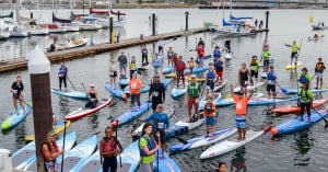 Alameda Post - Stand up paddle boarders in Alameda