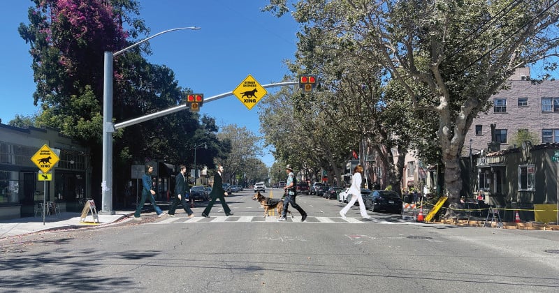 Alameda Post – Bear's-Eye View for August 21, 2022 – Central Avenue signal shepherd