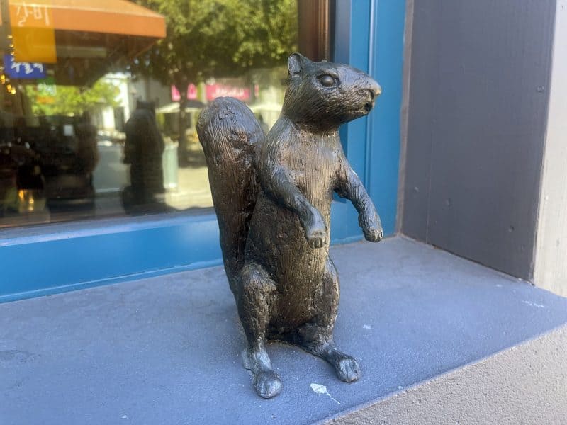 Alameda Post – Bear's-Eye View for August 28, 2022 – Mouf says squirrels are not public art