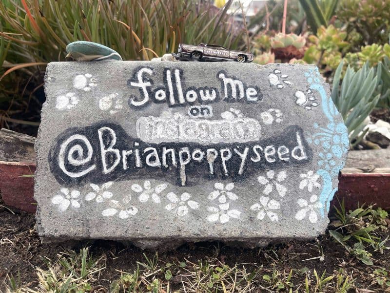 Alameda Post – Bear's-Eye View for September 11, 2022 – follow miniature fairyland creator @brianpoppyseed on Instagram