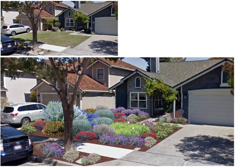 Alameda Post - A rendered photo of what a lawn could look like before and after replacing the lawn with a drought-resistant landscape