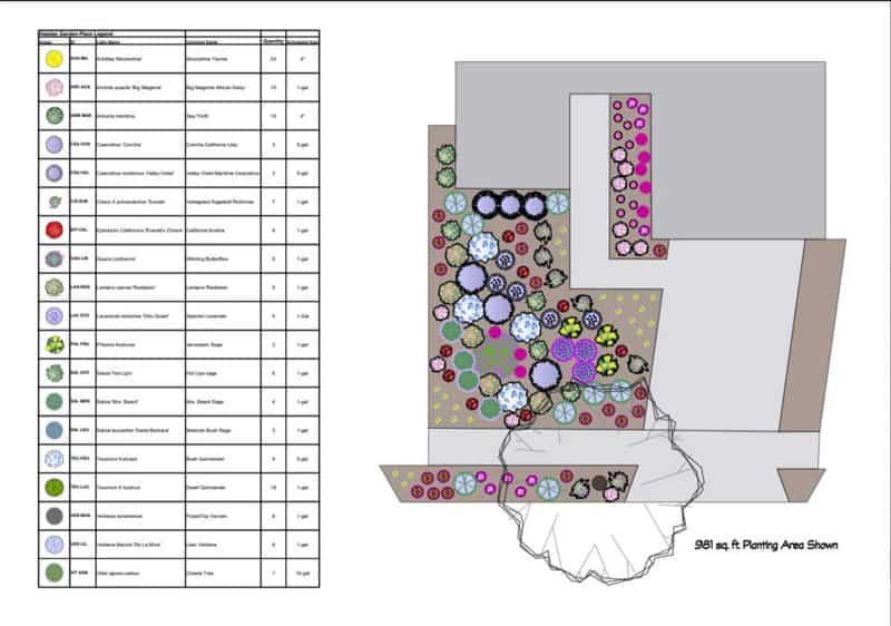 Alameda Post - A birds-eye view of a plan for converting a lawn to a drought-tolerant landscape. The plan includes a map of where all the plants will be placed.