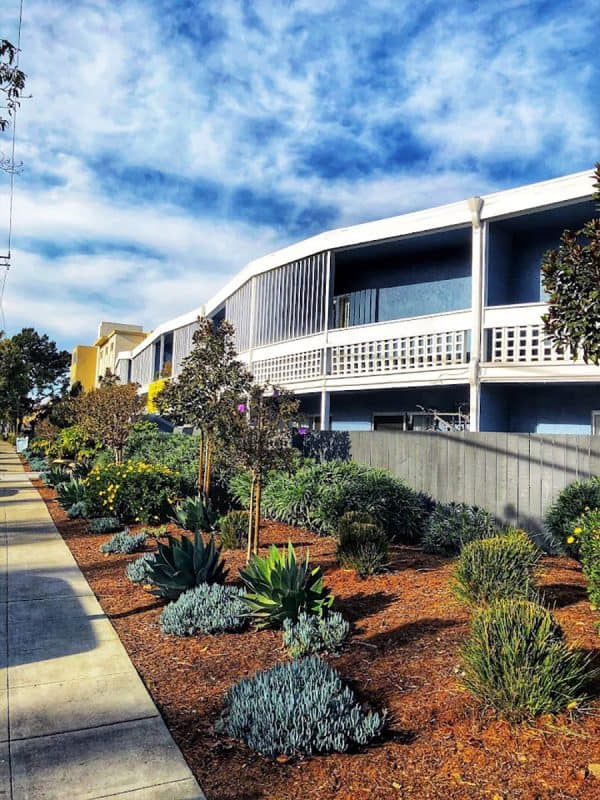 Alameda Post - A Lush Drought-tolerant Landscape at Otis Terrace