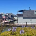 Alameda Post - floating homes at Barnhill Marina
