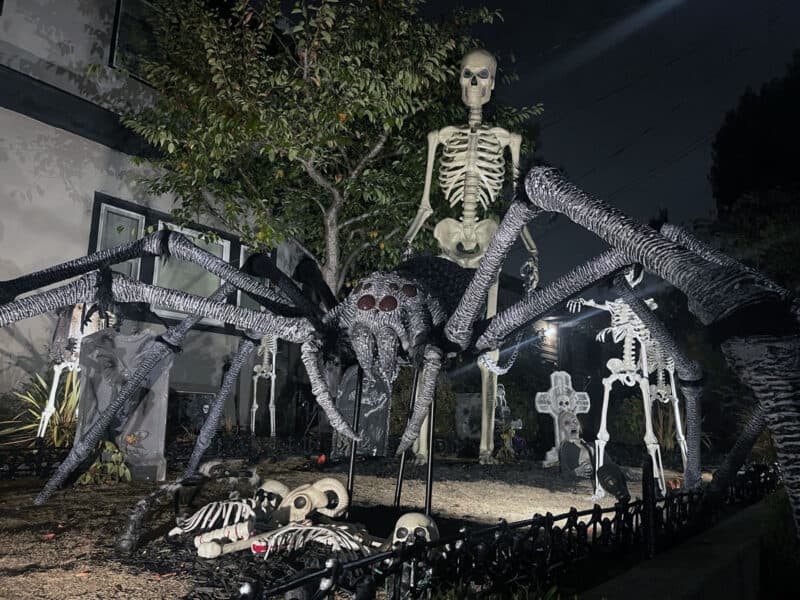 Alameda Post – Bear's-Eye View for October 23, 2022 – spider skeleton