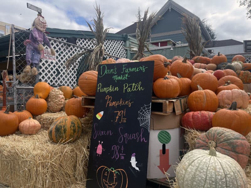 Alameda Post – Bear's-Eye View for October 3, 2022 – Dan's pumpkin patch