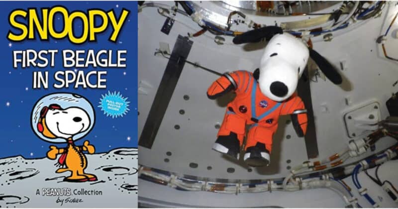 Alameda Post – Bear's-Eye View for November 20, 2022 – Snoopy in Space