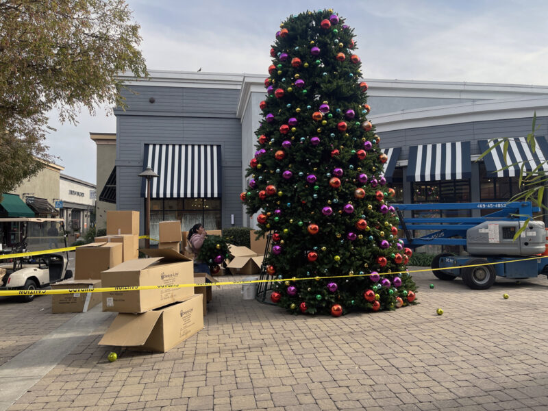 Alameda Post – Bear's-Eye View for November 13, 2022 – South Shore Tree