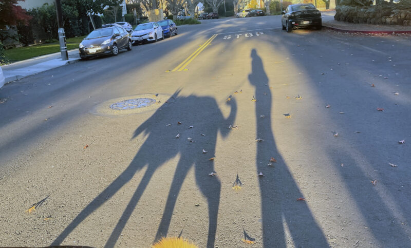 Alameda Post – Bear's-Eye View for November 13, 2022 – Long shadows