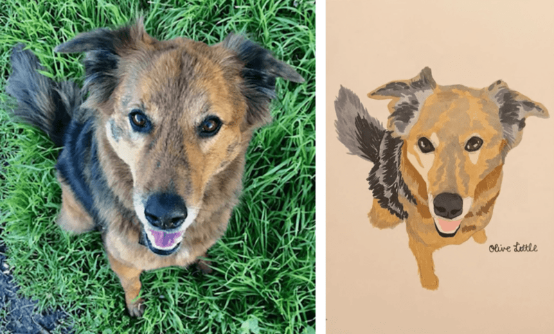 Alameda Post - a side by side of a pet picture and corresponding pet portrait. 