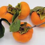 Alameda Post - four persimmons and their leaves