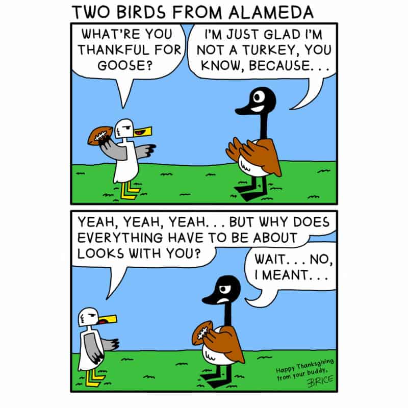 Alameda Post - Two Birds from Alameda for November 24, 2022. Text: First panel - Seagull and Goose looking at each other, Seagull, ready to throw football, asks 'What're you thankful for goose?' Goose replies 'I'm just glad I'm not a turkey, you know, because…' Second panel - Seagull says 'Yeah, yeah, yeah… But why does everything have to be about looks with you?' Goose, holding football, says 'Wait… No, I meant…'