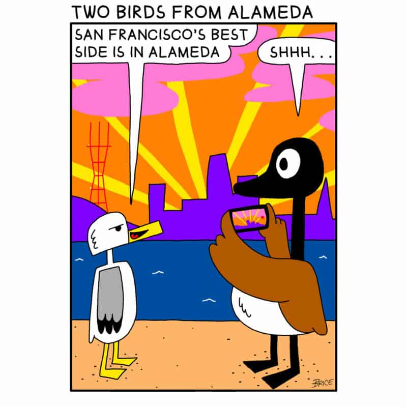 Alameda Post - Two Birds from Alameda for December 1, 2022. Text: Seagull and Goose. on the beach in front of a sunset and the SF skyline. Seagull says 'San Francisco's best side is in Alameda.' Goose, holding a phone to photograph the skyline and sunset, says 'Shhhh…'