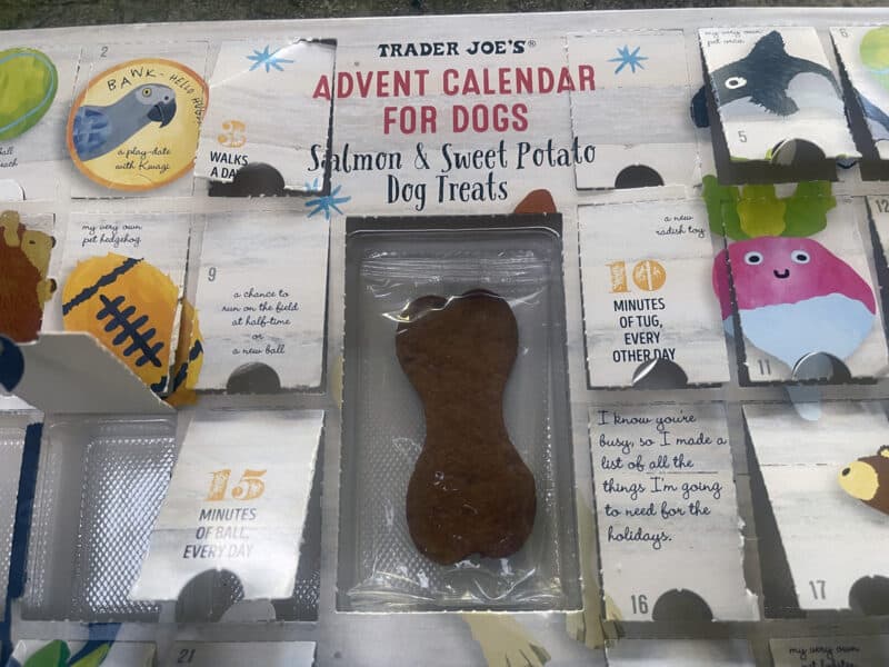 Alameda Post – Bear's-Eye View for January 1, 2023 – Advent calendar