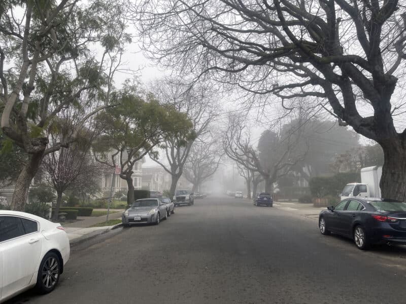 Alameda Post – Bear's-Eye View for January 30, 2023 – very foggy morning