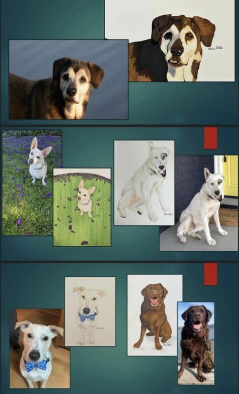 Alameda Post - side by side photos of pets and the corresponding portraits by Olive Little