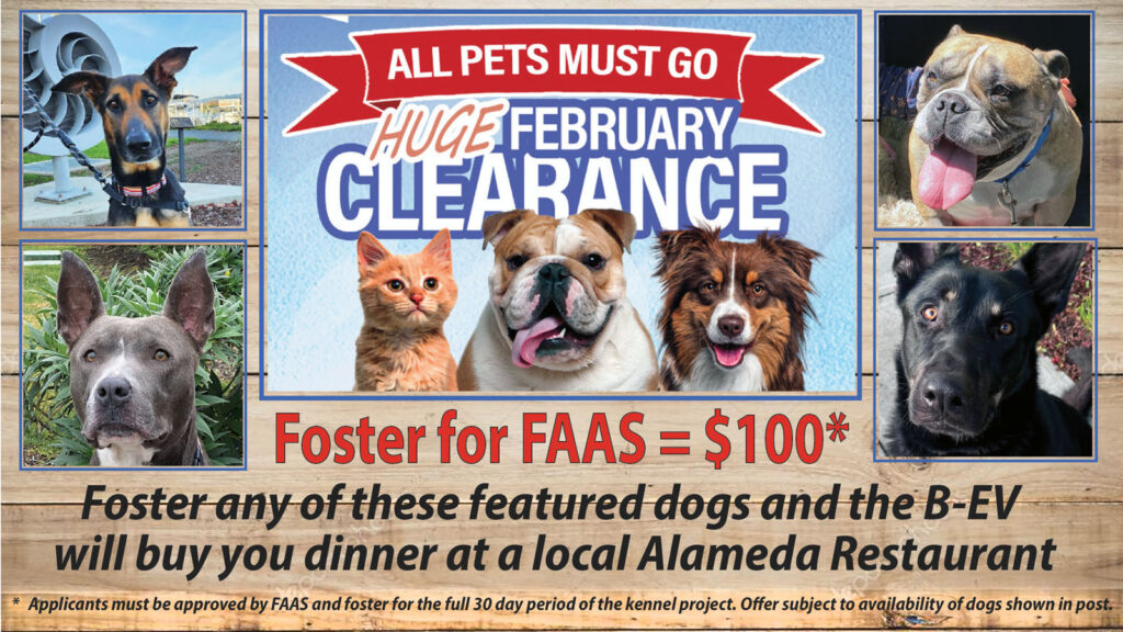 Alameda Post - Bear's-Eye View of Alameda for February 19, 2023. A graphic showing foster dogs that says "All pets must go. Huge February Clearance Sale. Foster for FAAS = $100* Foster any of these featured dogs and the B-EV will buy you dinner at a local Alameda Restaurant * Applicants must be approved by FAAS and foster for the full 30 day period of the kennel project. Offer subject to availability of dogs shown in post.