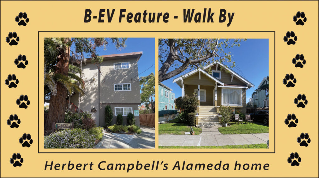 Alameda Post - Bear's-Eye View for February 12, 2023 – Walkby for Herbert Campbell