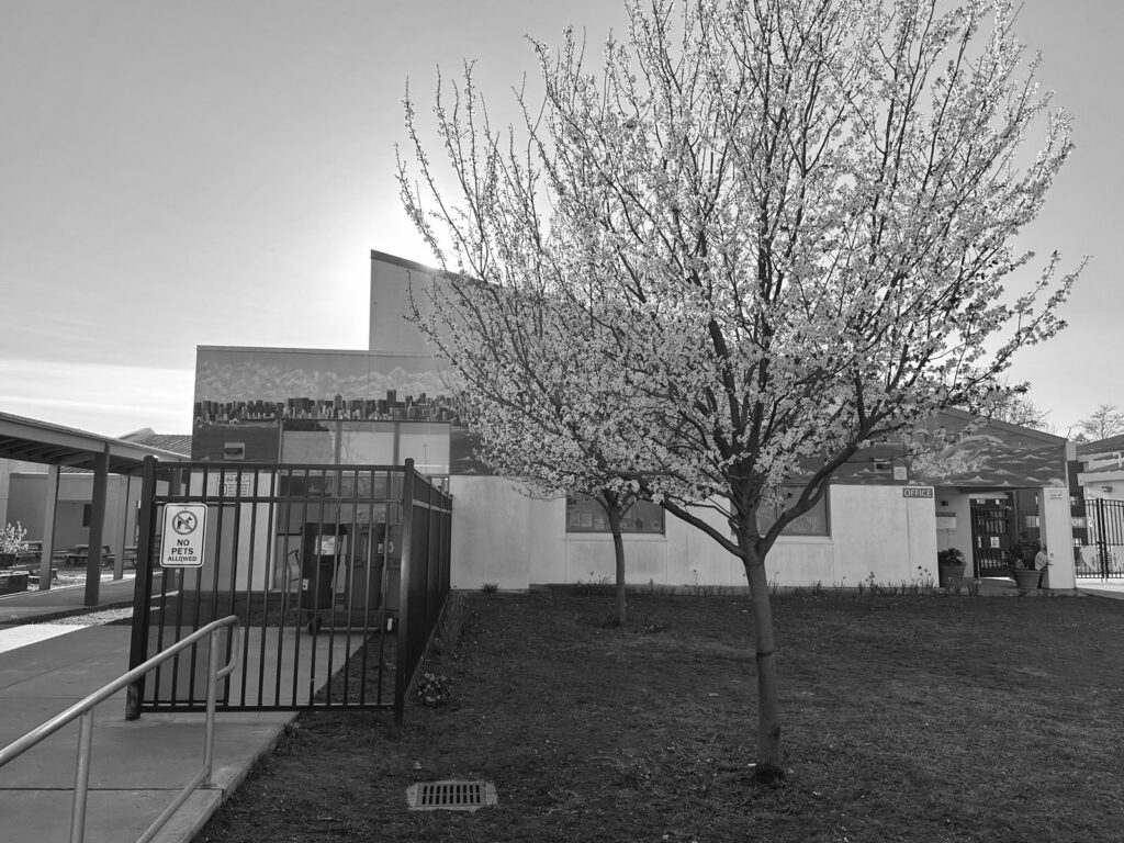 Alameda Post - a black and white photo of Bay Farm Middle School