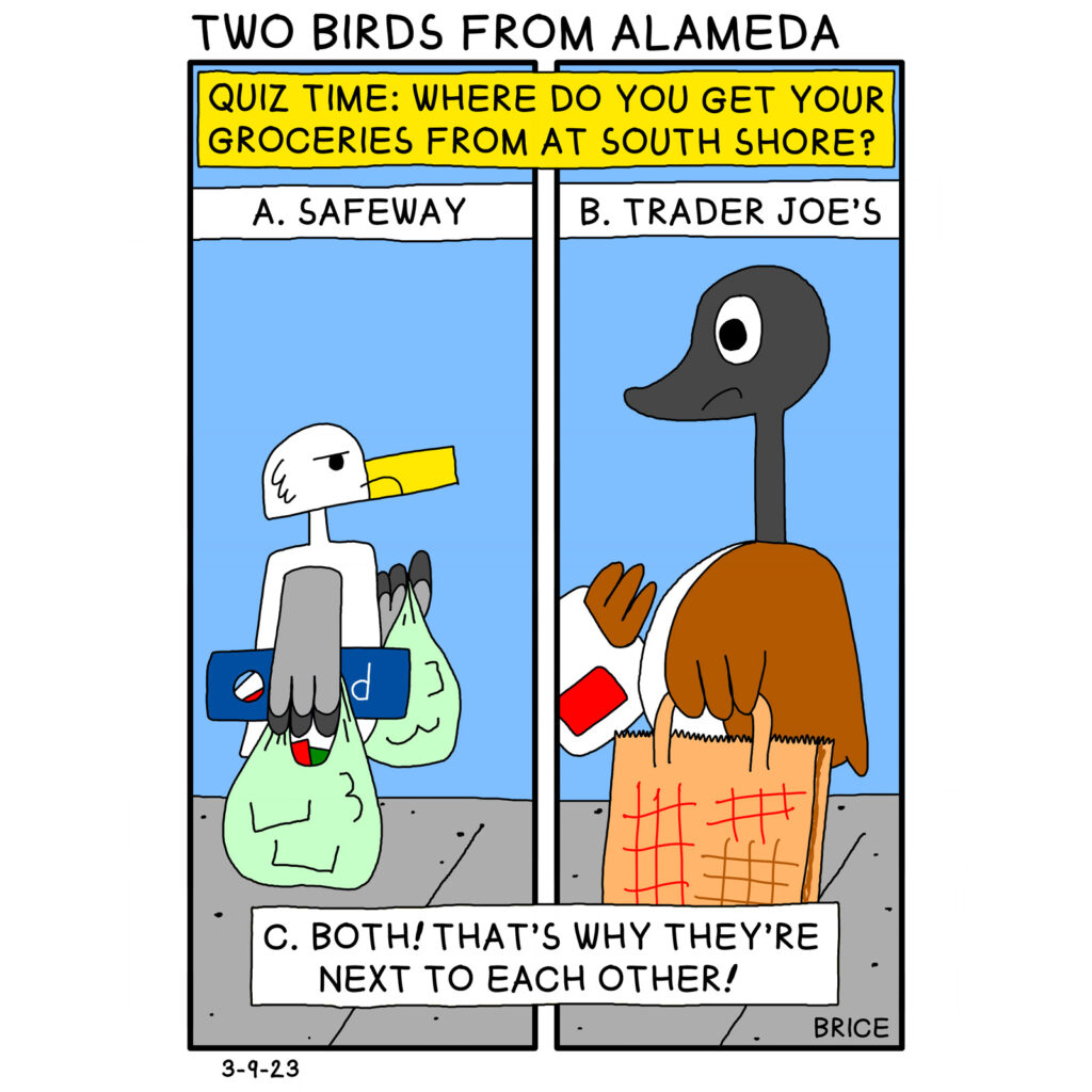 Alameda Post - Two Birds from Alameda for March 9, 2023. The banner across the top says “Quiz time: where do you get your groceries from at South Shore?” Seagull and Goose look at each other across the two panels of the cartoon. They are both carrying groceries, but Seagull carries plastic bags and Goose carries paper bags. They look at each other with slight frowns. The text is broken up into three boxes throughout the cartoon and says “A. Safeway; B. Trader Joe’s; C. Both! That’s why they’re next to each other!”