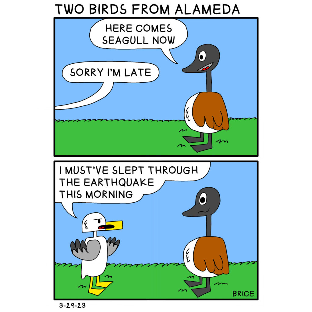 Alameda Post - Two Birds from Alameda for March 29, 2023. Title: “Two Birds from Alameda.” Panel One: Goose stands on grass and says “Here comes Seagull now.” From outside the panel, Seagull says, “Sorry I’m late.” Panel Two: Seagull says, “I must’ve slept through the earthquake this morning” while shrugging his wings. Goose looks dazed.