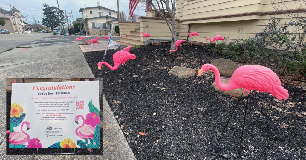 Alameda Post - Bear's-Eye View of Alameda for March 26, 2023 – pink flamingos