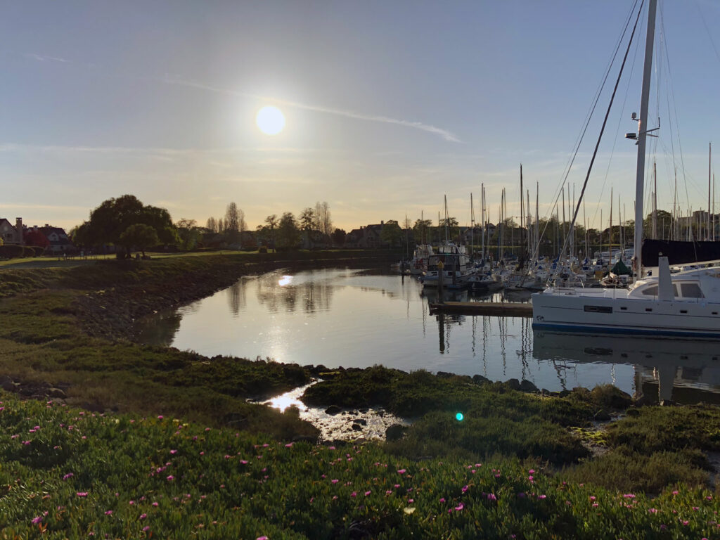 Alameda Post - sunshine over the water in a marina