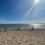 Alameda Post - sunshine on the beach