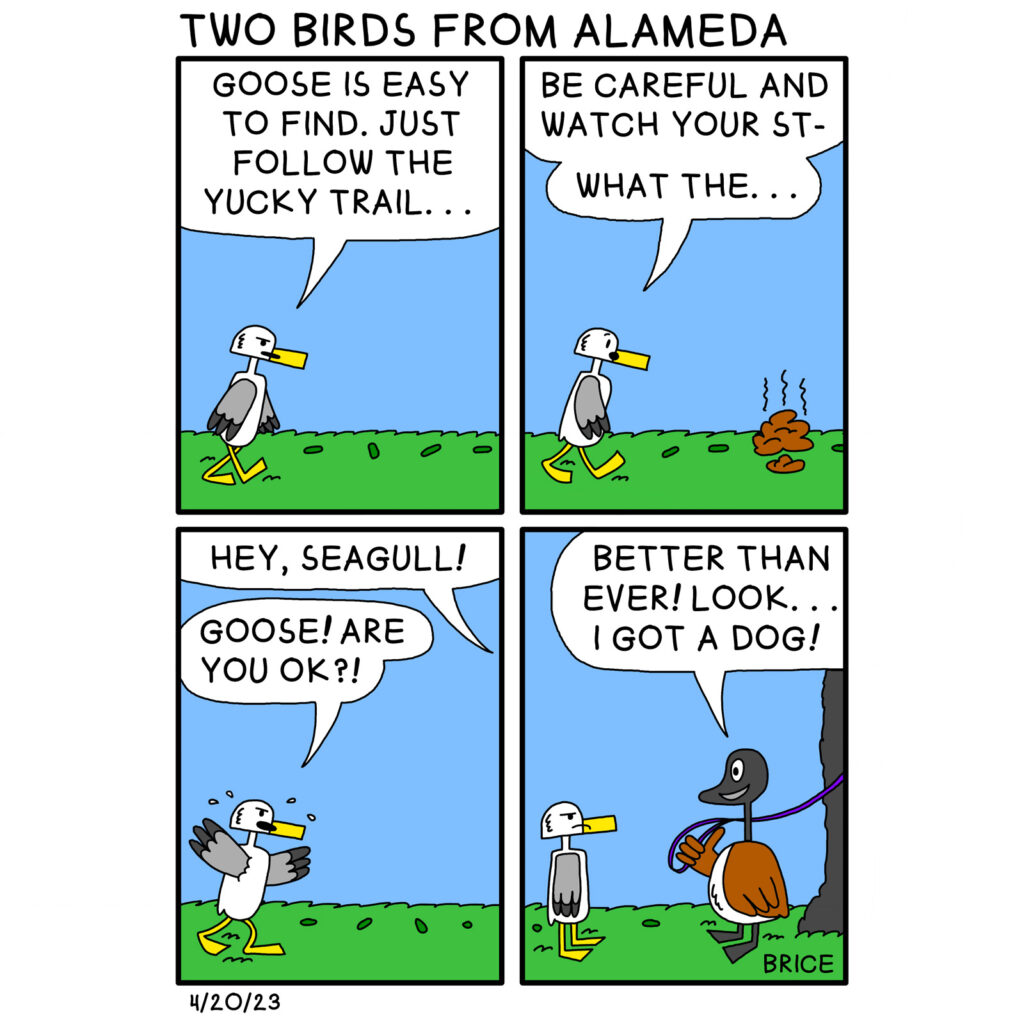 Alameda Post - Two Birds from Alameda for April 20, 2023. Title: “Two Birds from Alameda.” First panel: Seagull is walking on the grass and says “Goose is easy to find. Just follow the yucky trail…” Second panel: Seagull comes across a giant pile of poop and says, “Be careful and watch you st- what the…” Third panel: Someone off the panel says, “Hey, Seagull!” Seagull yells to them, “Goose! Are you Ok!?” Fourth panel: Goose happily says, “Better than ever! Look… I got a dog!” A tall shaggy dog stands out of frame. Seagull looks unimpressed. 