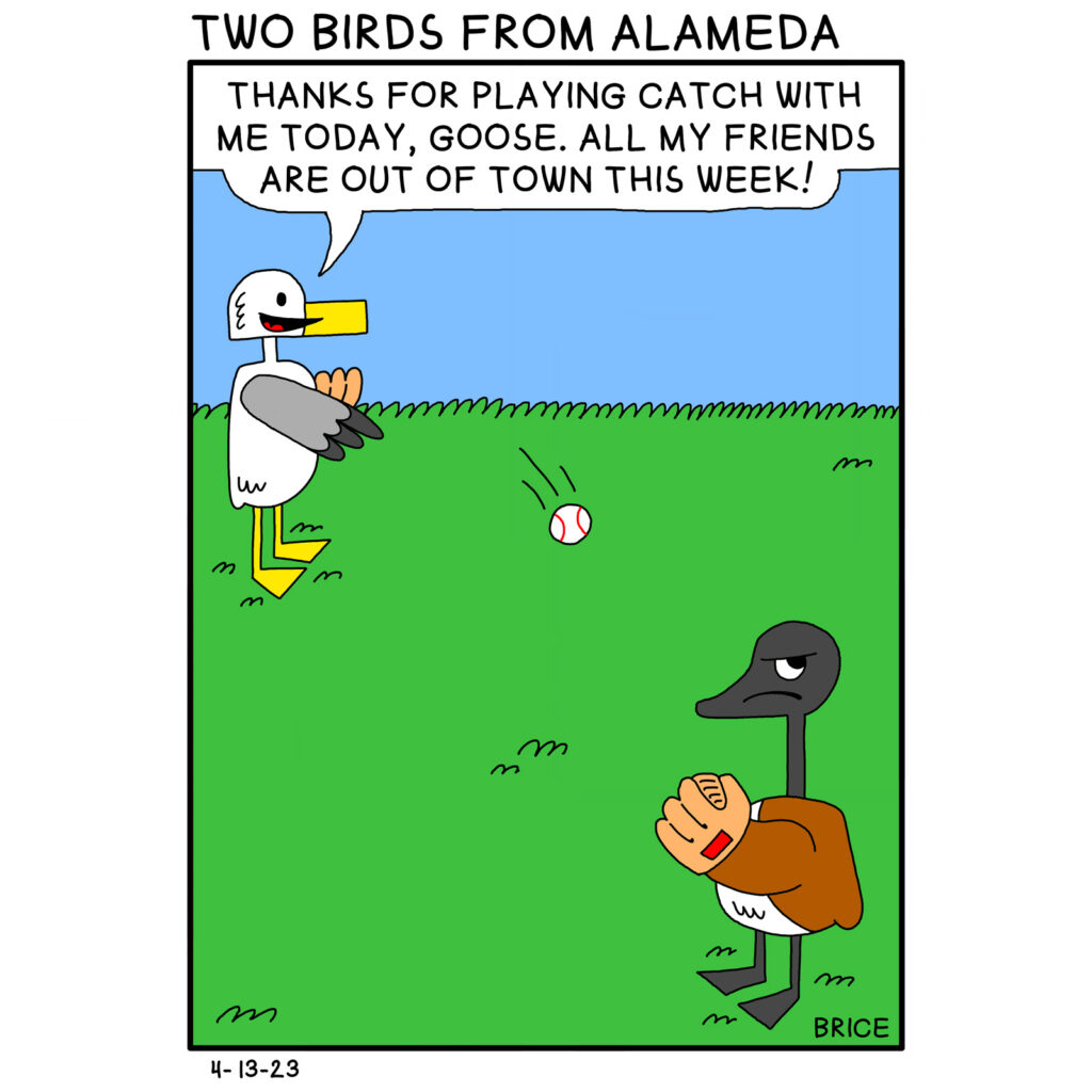 Alameda Post - Two Birds from Alameda for April 13, 2023. Title: “Two Birds from Alameda.” Only panel: Seagull is smiling and throwing a baseball to Goose. Seagull says “Thanks for playing catch with me today, Goose. All my friends are out of town this week!” Goose holds out a baseball glove and frowns. 