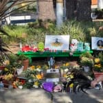 Alameda Post - a memorial for Mario Gonzalez set up with flowers and mementos in a park