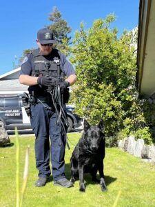 Alameda Post - Alameda Police K9 Blu