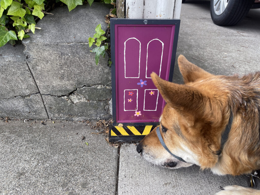 Alameda Post - Bear's-Eye View of Alameda for May 24, 2023 – Mouf discovers a gumbo fairy door