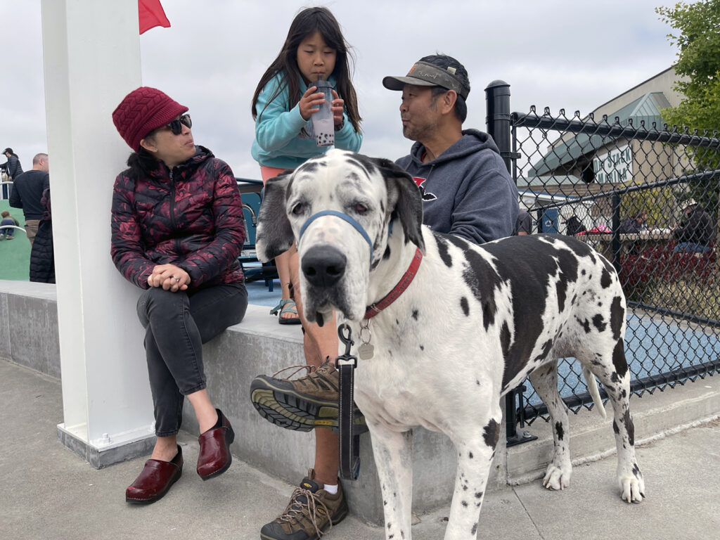 Alameda Post - Bear's-Eye View of Alameda for May 24, 2023 – a very large dog and its family