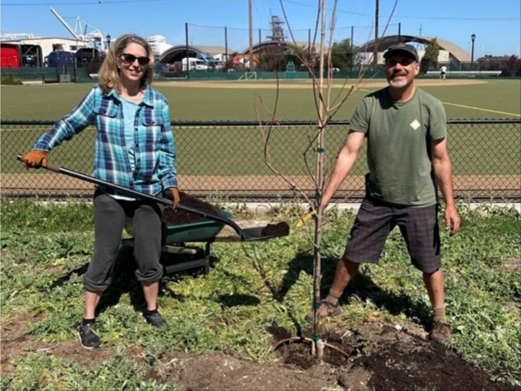 Alameda Post - two Rotary Club members stand next to a newly planted tree