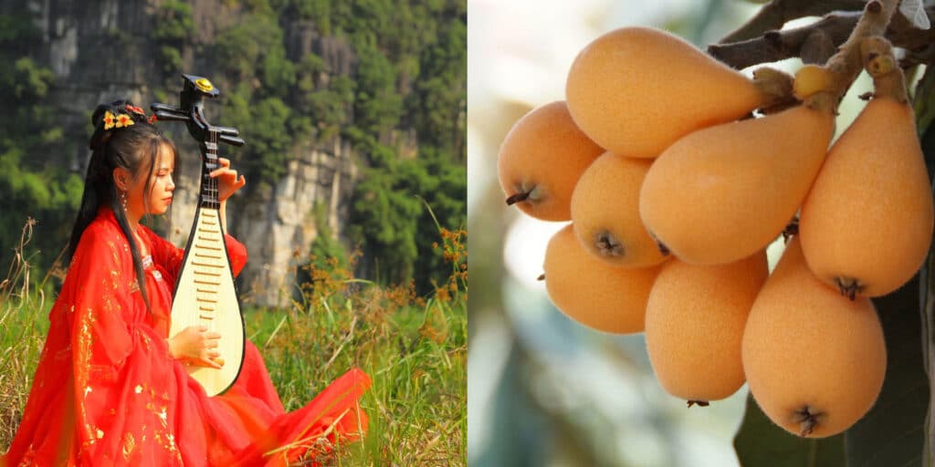 Alameda Post - a woman in red sits with a Chinese lute called a Pipa. Another photo shows the "pipa" fruit which are similar shapes