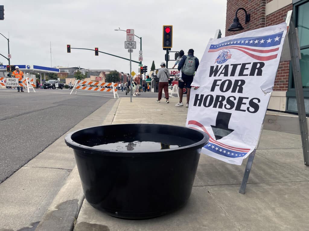 Alameda Post - Bear's-Eye View of Alameda for July 9, 2023 – water for horses