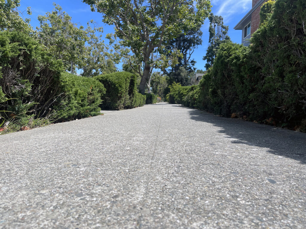 Alameda Post - Bear's-Eye View of Alameda for July 25, 2023 — the hedges that hid the squirrel