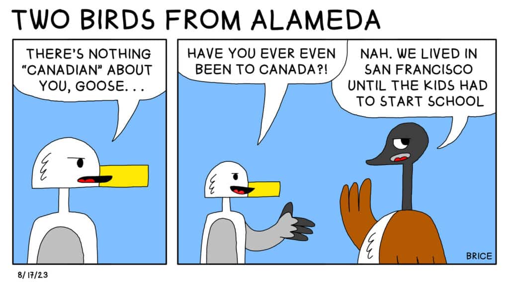 Alameda Post – Two Birds from Alameda for August 17, 2023. First panel: Seagull says, “There’s nothing ‘Canadian’ about you, Goose…” Second panel: Seagull and Goose stand next to each other. Seagull says, “Have you ever even been to Canada?!” Goose replies, “Nah. We lived in San Francisco until the kids had to start school.”