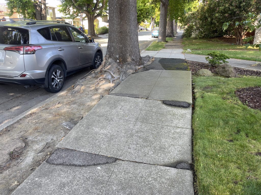 Alameda Post - Bear's-Eye View of Alameda for August 13, 2023 – dangerous, uneven sidewalks