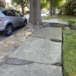 Alameda Post - Bear's-Eye View of Alameda for August 13, 2023 – dangerous, uneven sidewalks