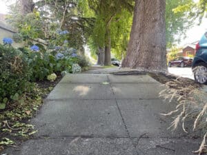 Alameda Post - Bear's-Eye View of Alameda for August 13, 2023 – dangerous, uneven sidewalks
