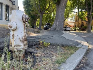 Alameda Post - Bear's-Eye View of Alameda for August 13, 2023 – dangerous, uneven sidewalks